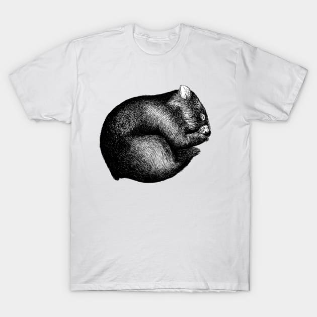 Wombat sleeping T-Shirt by AirDrawn